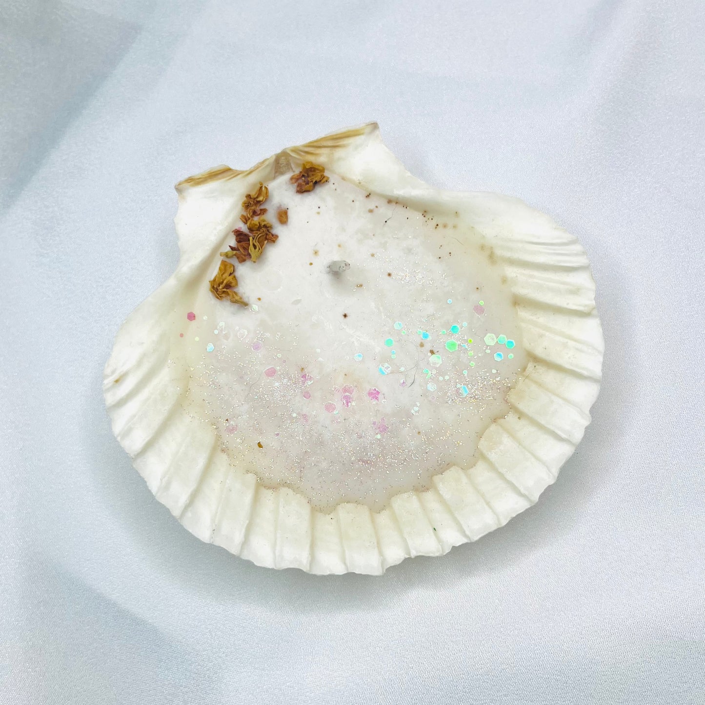 Seashell Candle