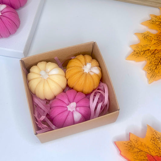The Pumpkin Patch Wax Melt Box